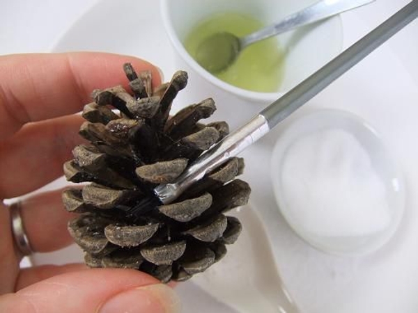 Paint the pine cone with egg white Paint the pine cone with egg white