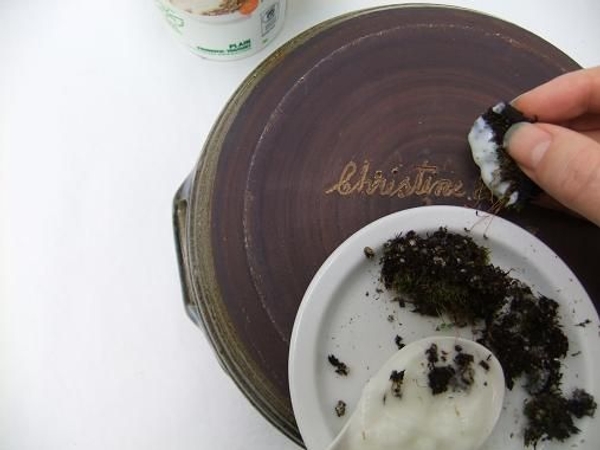 Paint the terracotta pot with yogurt using the moss Paint the terracotta pot with yogurt using the moss