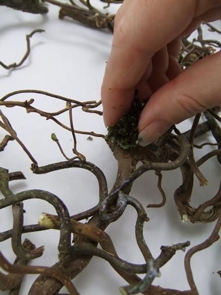 Paint the twig wreath with yogurt using the moss as a brush Paint the twig wreath with yogurt using the moss as a brush