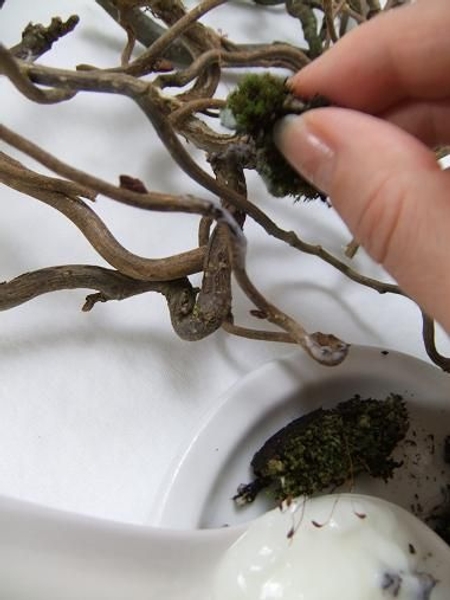 Paint the wreath with yogurt using the moss as a brush on the places you want the moss to grow Paint the wreath with yogurt using the moss as a brush on the places you want the moss to grow