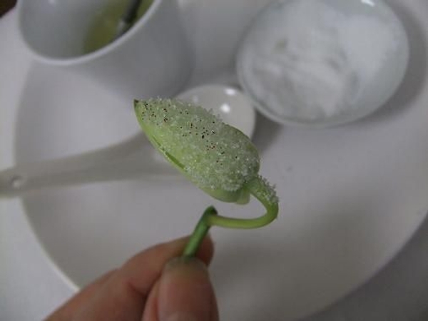 Place the bud in a test tube filled with water to let the egg white dry Place the bud in a test tube filled with water to let the egg white dry
