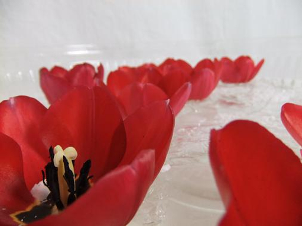 Float tulips in a shallow dish