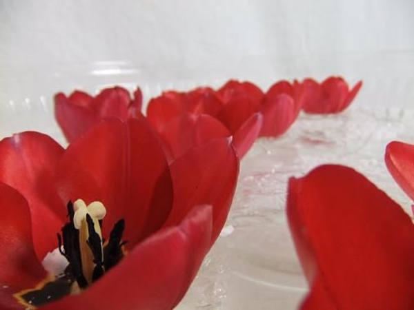 Float tulips in a shallow dish Float tulips in a shallow dish