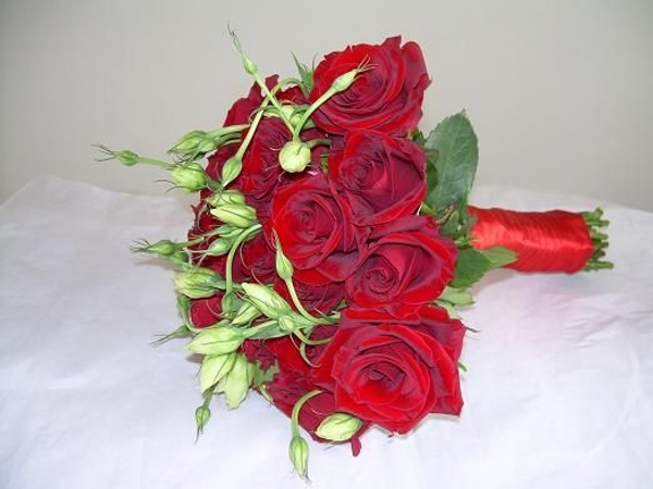 Eustoma - Lisianthus, Texan Poppy, Texas Bluebell, Tulip Gentian, Prairie Gentian Eustoma - Lisianthus, Texan Poppy, Texas Bluebell, Tulip Gentian, Prairie Gentian