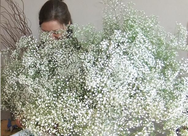 Using masses of gypsophila for a Floral Art table setting Using masses of gypsophila for a Floral Art table setting