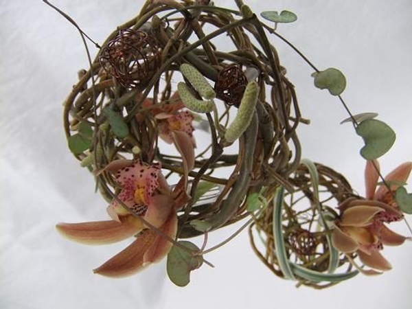 Willow sphere with hazel, ceropegia woodii and chocolate brown cymbidium orchids Willow sphere with hazel, ceropegia woodii and chocolate brown cymbidium orchids