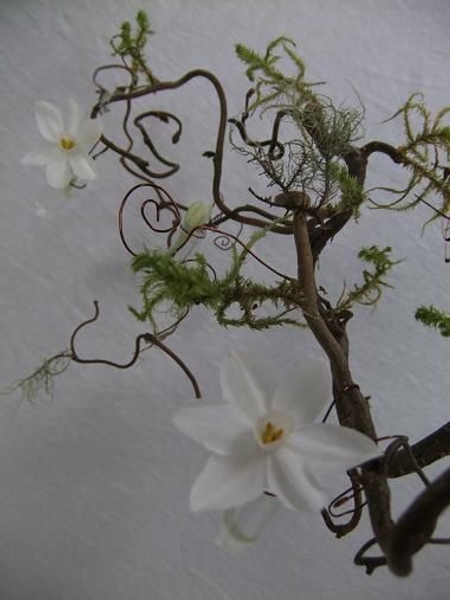 Tiny paper white flowers are my snowflakes Tiny paper white flowers are my snowflakes