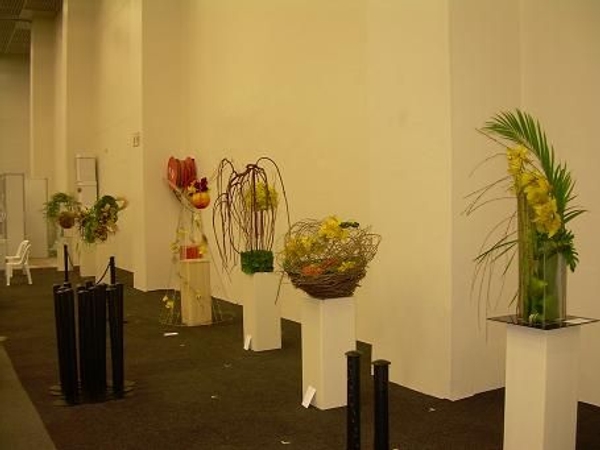 Veiled Sunshine:50th Anniversary of the South African Orchid Society Veiled Sunshine:50th Anniversary of the South African Orchid Society