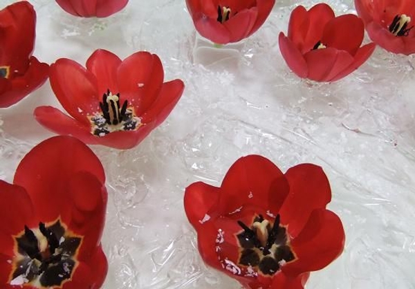 Without a bubble wrap skirt the tulips will slowly fill with water and sink Without a bubble wrap skirt the tulips will slowly fill with water and sink