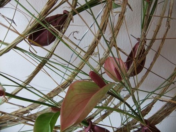 The wire coils are covered with wild field grass. The wire coils are covered with wild field grass.