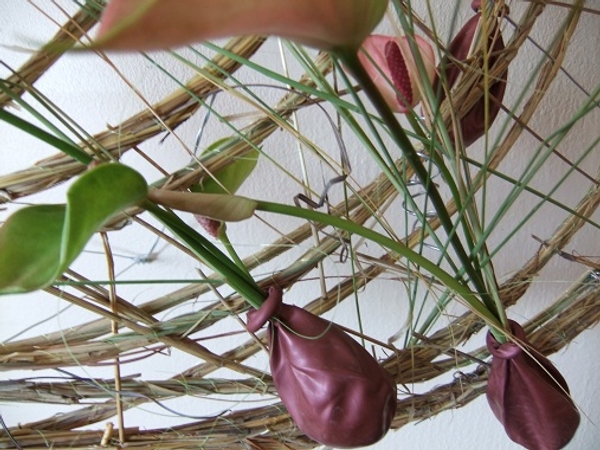 As a water source for the Anthuriums I used water filled metallic party balloons. As a water source for the Anthuriums I used water filled metallic party balloons.