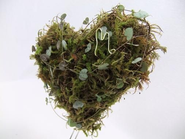 Biodegradable copper mesh shape filled with moss. Biodegradable copper mesh shape filled with moss.