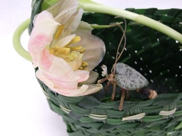 Pine and twig love bug on a green grass hand basket Pine and twig love bug on a green grass hand basket