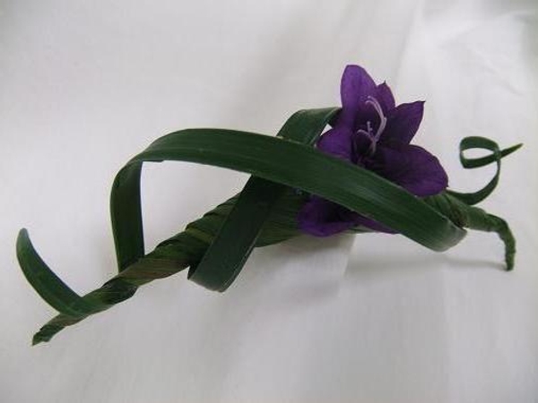 Floral Art design- Blue Harlequin. Floral Art design- Blue Harlequin.