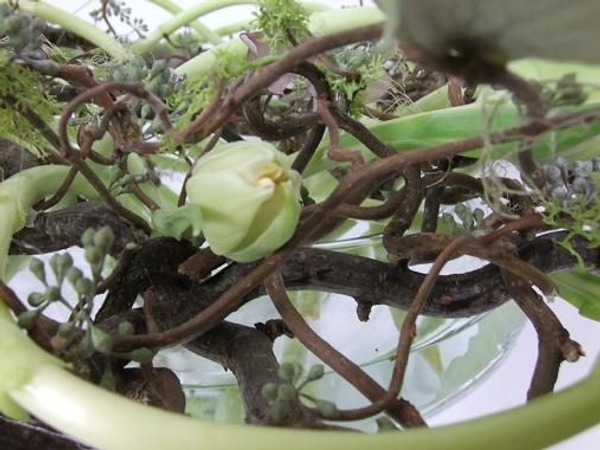 Paint egg white on petals to keep them in tight bud. Paint egg white on petals to keep them in tight bud.