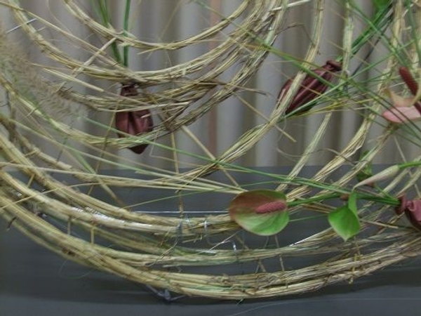 The wire coils are covered with wild field grass. The wire coils are covered with wild field grass.