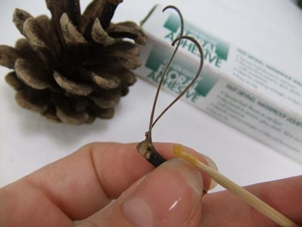 Two dried pine needles are the feelers. Two dried pine needles are the feelers.