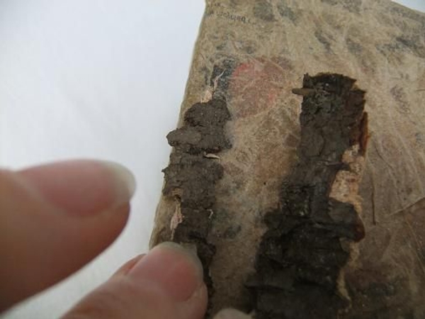 Cover the metal container with papier mache and bark. Cover the metal container with papier mache and bark.