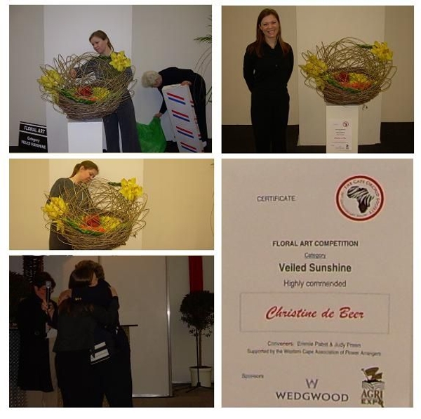 Christine de Beer Highly commended award The Cape Orchid Society Christine de Beer Highly commended award The Cape Orchid Society