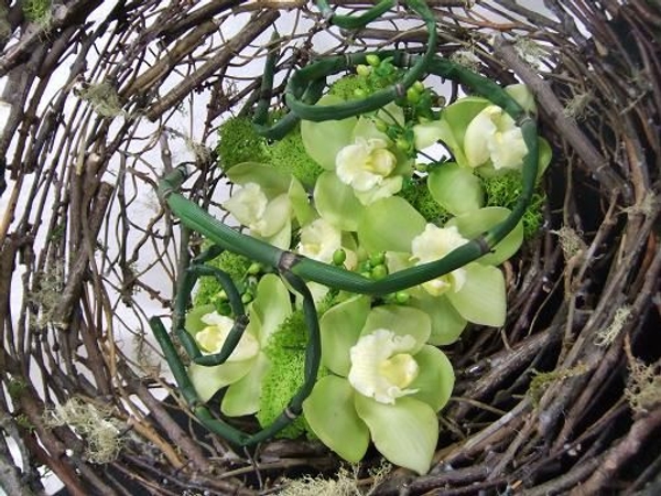 Orchids and berries hybernating in a bed of moss. Orchids and berries hybernating in a bed of moss.