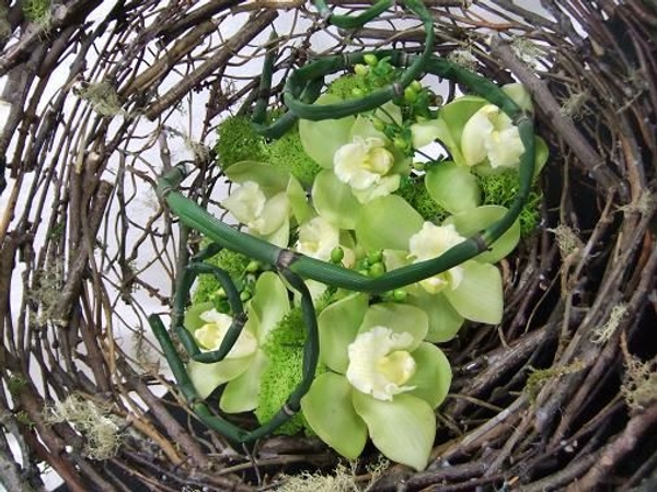 Orchids and berries hybernating in a bed of moss.