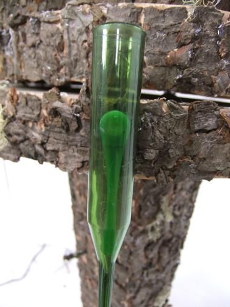 Place the test tube where you want it for the design. Place the test tube where you want it for the design.