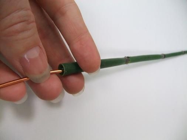 Press the wire into the hollow Equisetum. Press the wire into the hollow Equisetum.