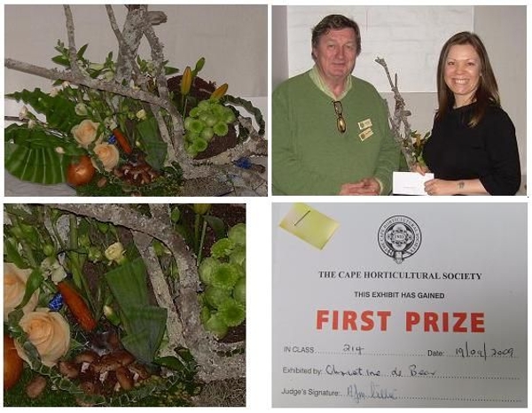 South African Horticultural Society Show, Western Cape, South Africa. South African Horticultural Society Show, Western Cape, South Africa.