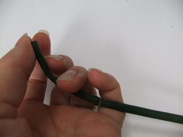 Start to gently curl the Equisetum. Start to gently curl the Equisetum.