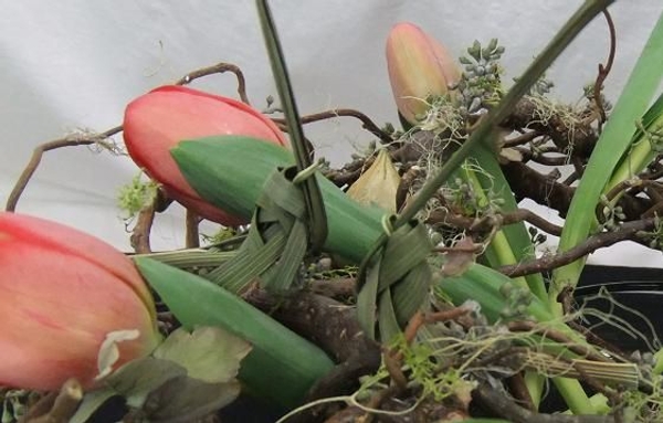 Two palm leaf grasshoppers meditating in a twig nest with spiralled tulips. Two palm leaf grasshoppers meditating in a twig nest with spiralled tulips.