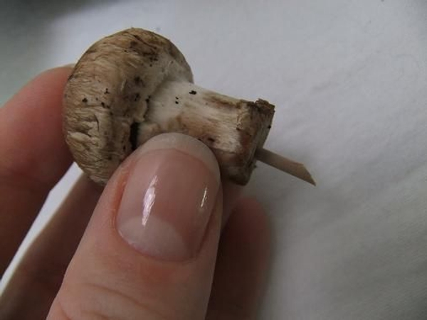 Air-dry button mushrooms Air-dry button mushrooms