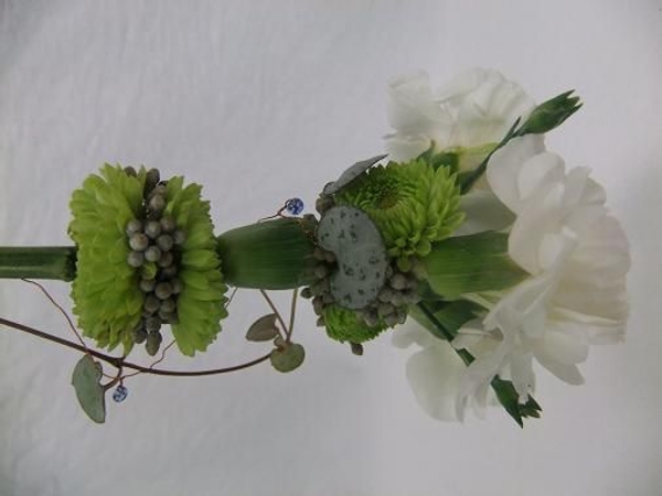 Carnation tassel. Carnation tassel.