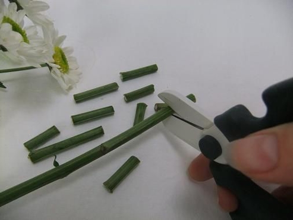 The inside of Chrysanthemum stems are spongy and easy to thread as stem spacers. The inside of Chrysanthemum stems are spongy and easy to thread as stem spacers.