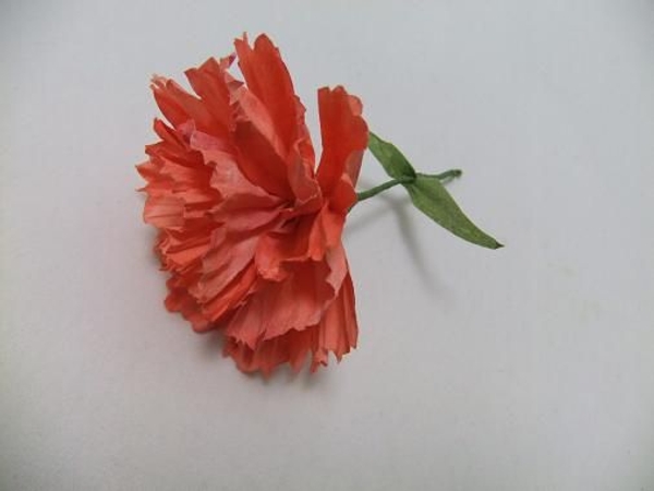Coffee filter paper carnation Coffee filter paper carnation