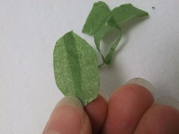 Cut a leaf shape out of the two sections of florist tape Cut a leaf shape out of the two sections of florist tape
