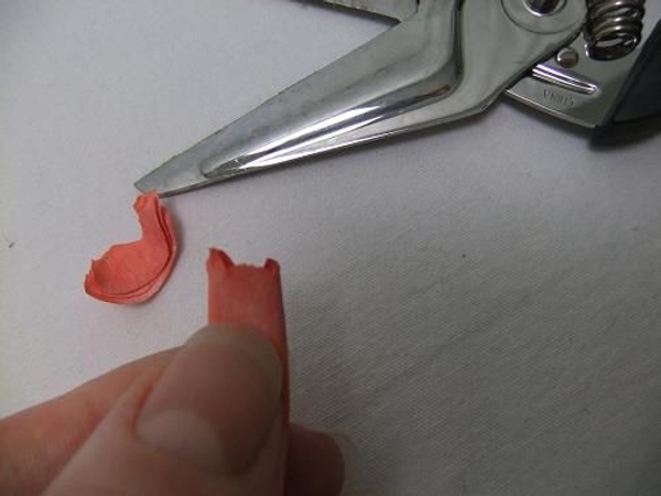 Cut a ruffled edge with scissors or craft scissors Cut a ruffled edge with scissors or craft scissors