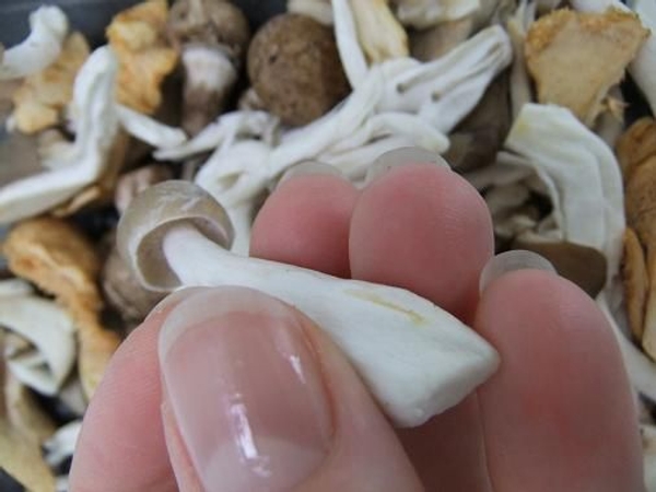 Cut the mushroom to have a neat flat base. Cut the mushroom to have a neat flat base.