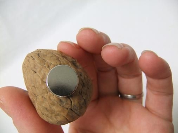 Fit the larger magnet at the back of the nutshell. Fit the larger magnet at the back of the nutshell.
