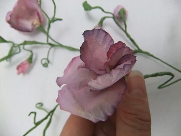Fold the petals open to shape the sweet pea Fold the petals open to shape the sweet pea