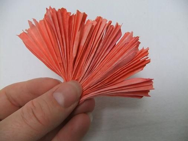 Gather the petals in a fan shape Gather the petals in a fan shape
