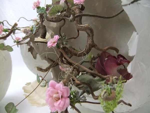 Kalanchoe 'Calandiva Pink' blossoms in hatched Papier Mache Easter eggs. Kalanchoe 'Calandiva Pink' blossoms in hatched Papier Mache Easter eggs.