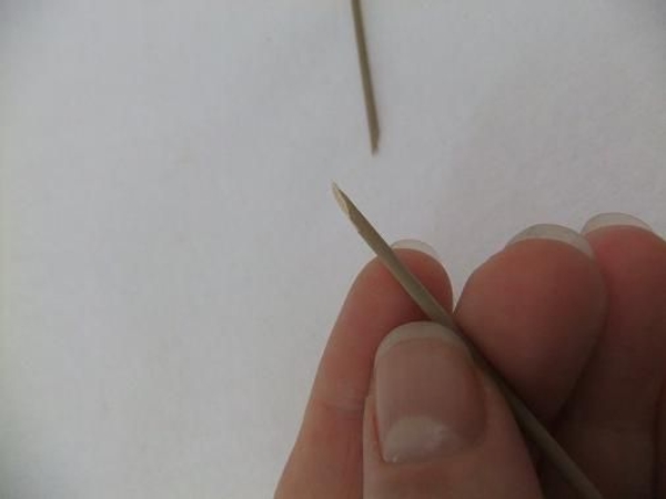 Mikado Reed sticks spear. Mikado Reed sticks spear.