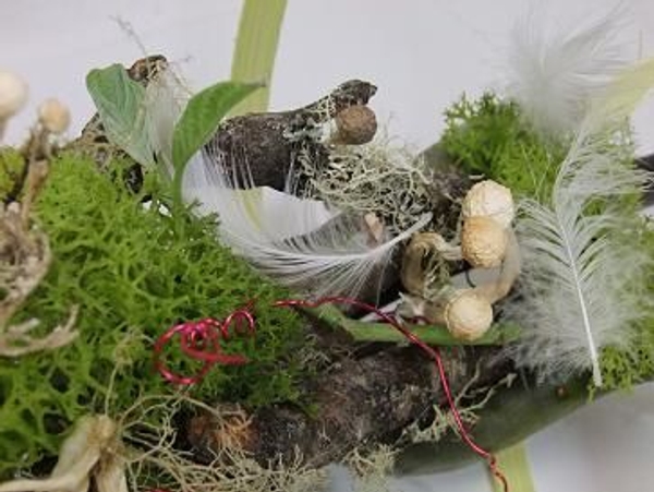 Moss and Mushrooms on the twigs. Moss and Mushrooms on the twigs.