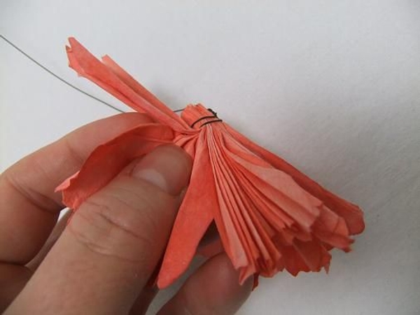 Open up the paper carnation Open up the paper carnation