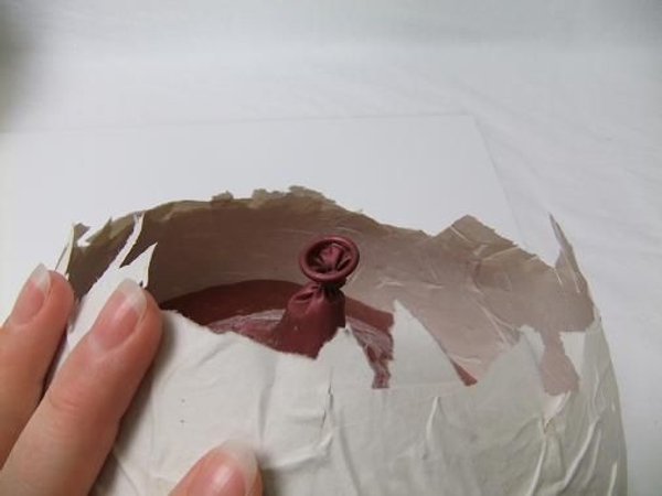 Perfect cracked shell edges.jpg Perfect cracked shell edges.jpg