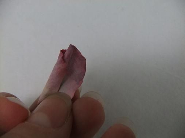 Roll one half of the petals and fold over Roll one half of the petals and fold over