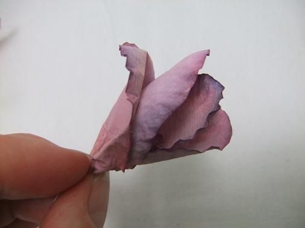 Roll the paper sweet pea petals to form the flower Roll the paper sweet pea petals to form the flower