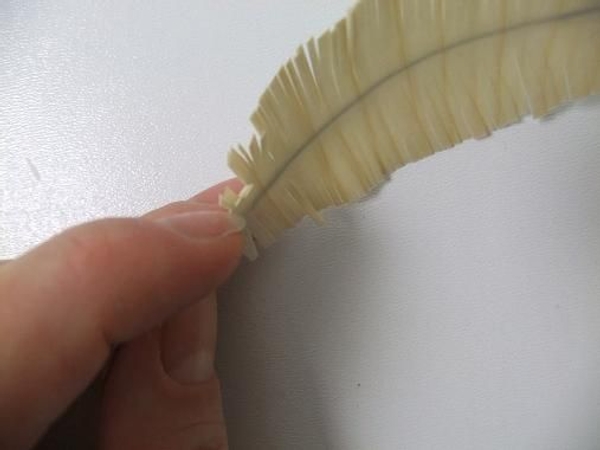 Ruffle the after feather with your nail.