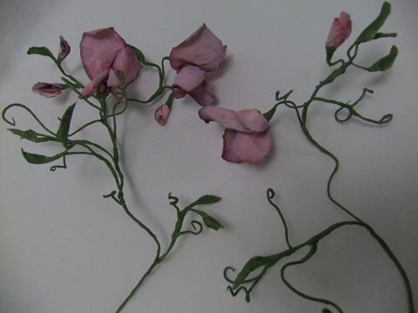 Sweet pea coffee filter flowers Sweet pea coffee filter flowers