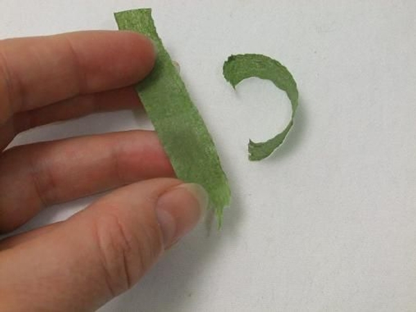 Tear two sections of florist tape Tear two sections of florist tape